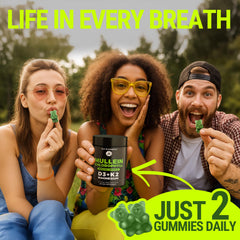 Serving suggestion showing two mullein chlorophyll gummies daily
