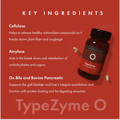 Illustration showing gut balance and Blood Type O digestion with TypeZyme