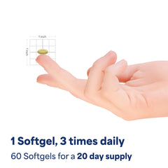 Ubiquinol supports cellular energy production