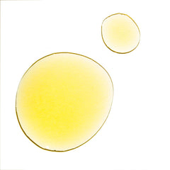 UMA Pure Rest Wellness Oil diffuser scene delivering soothing ambience