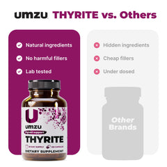 Concept of sustained energy from Thyrite support