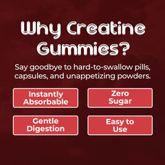 Unboxed Big Bear Bites Creatine Gummies.