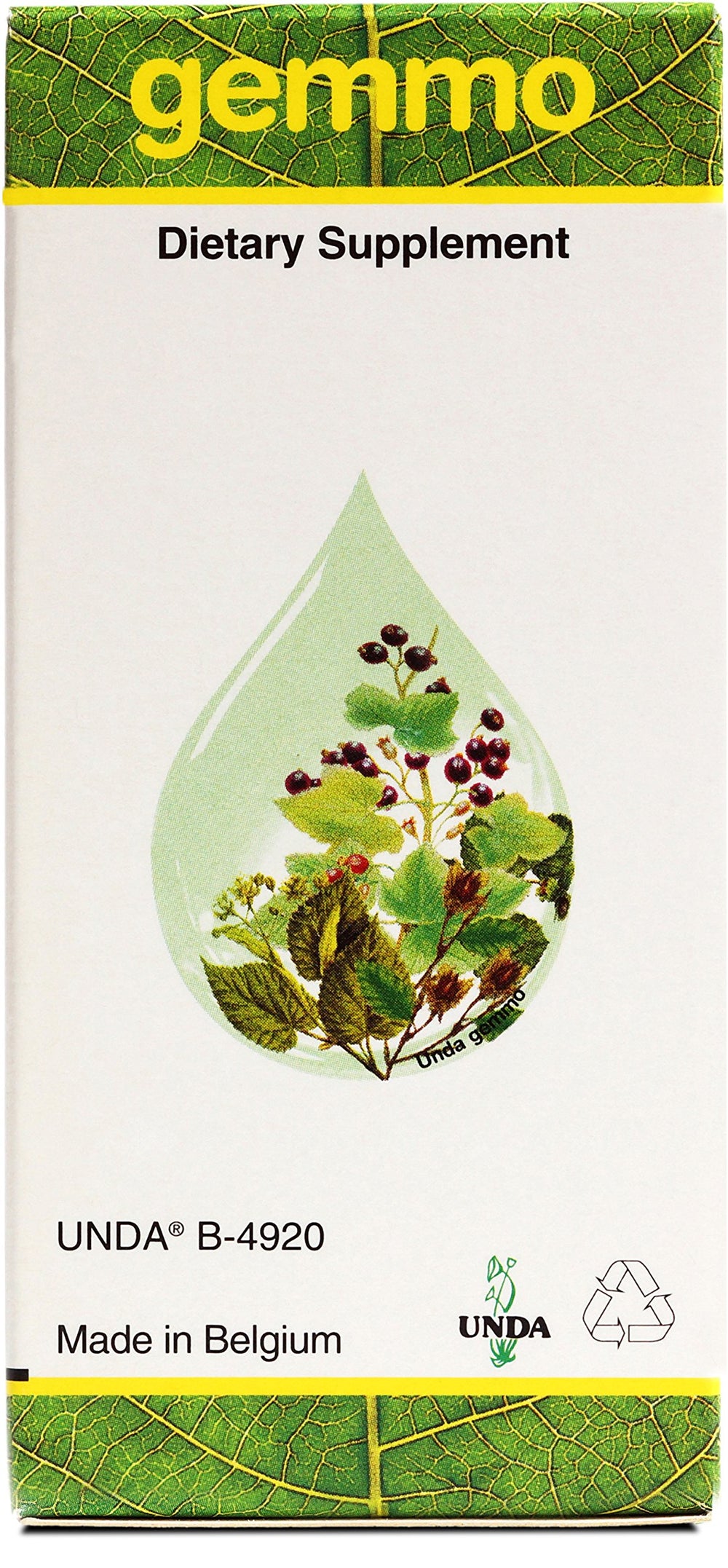 Gemmotherapy preparation in glycerin and organic ethanol medium