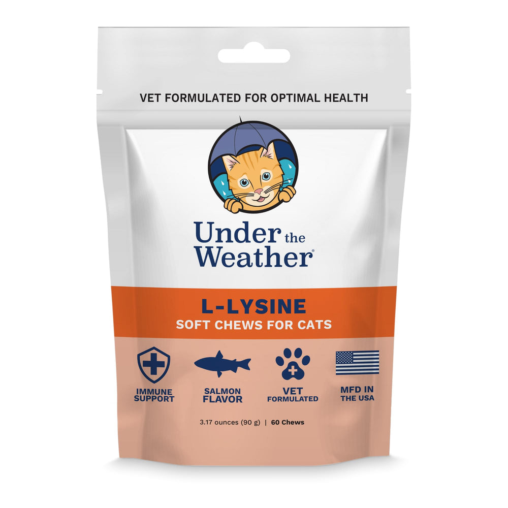 Packaging image of Under the Weather Pet Daily Cat L-Lysine 60 salmon-flavored soft chews