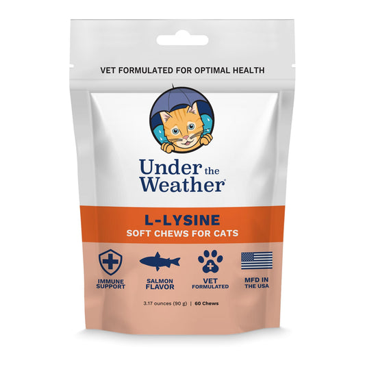 Packaging image of Under the Weather Pet Daily Cat L-Lysine 60 salmon-flavored soft chews