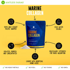 Unflavored marine collagen powder appearance