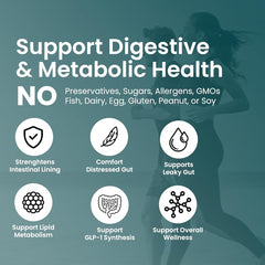 60-capsule bottle of UpNourish Probiotics packaging