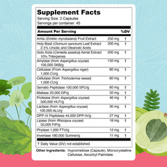 Illustration showing the 13 ingredients in Total Revive+
