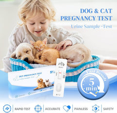 Pet owner collecting urine sample at home for pregnancy test