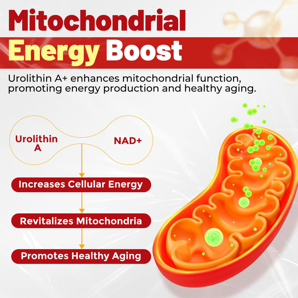 Close-up of 1000mg liposomal Urolithin A formula