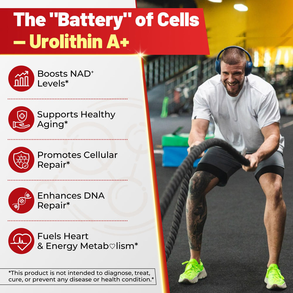 NAD+, CoQ10, Resveratrol and L-Carnitine ingredients