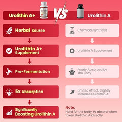 Wormwood, psyllium husk and DGL digestive balance trio