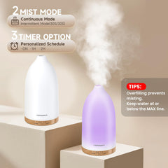 Auto-off safety feature with 100ml water tank.