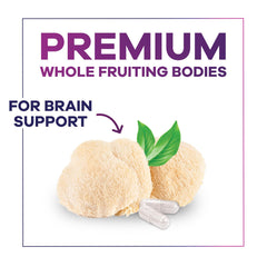 USA bottled Lions Mane mushroom capsules