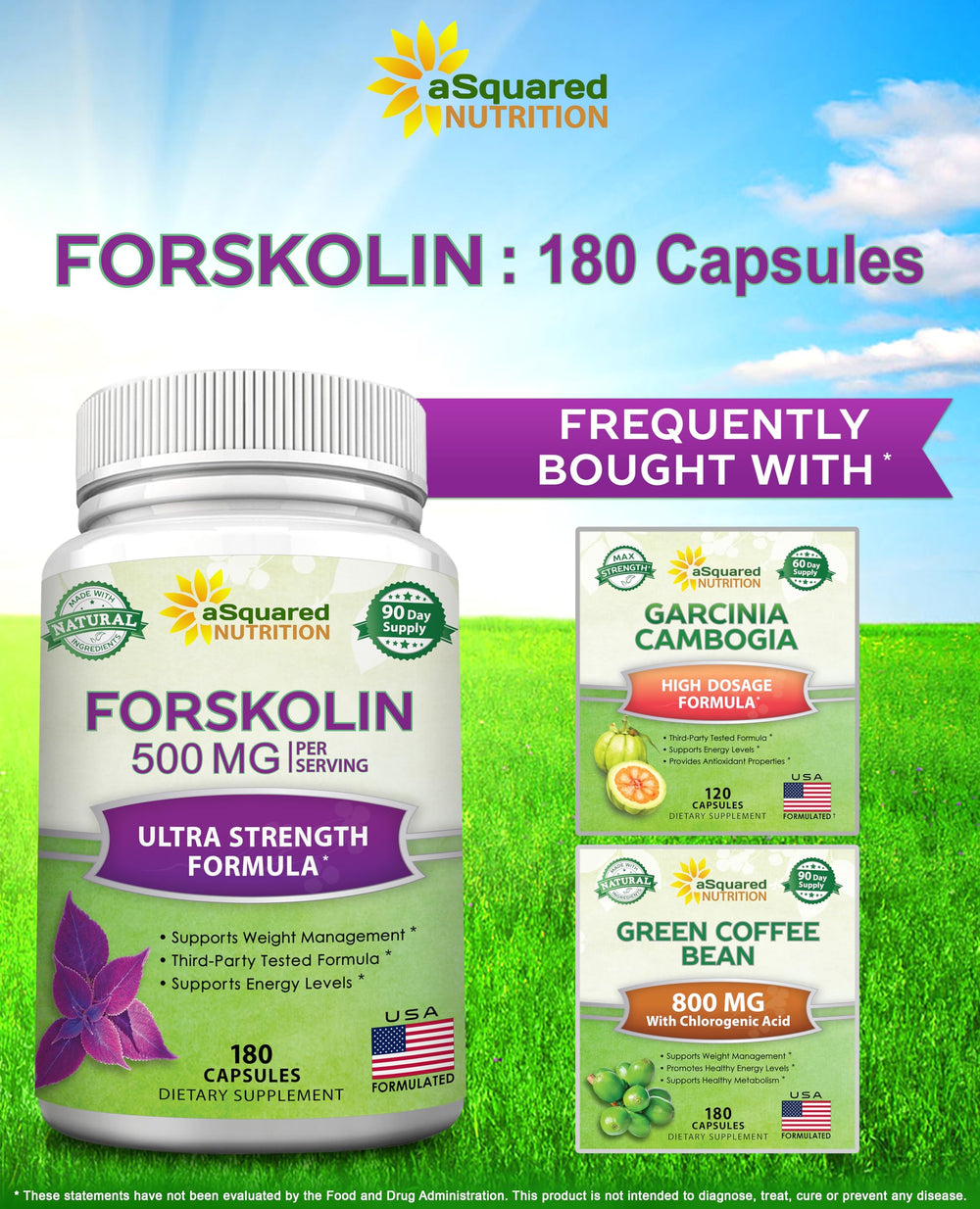USA GMP-certified facility producing Forskolin