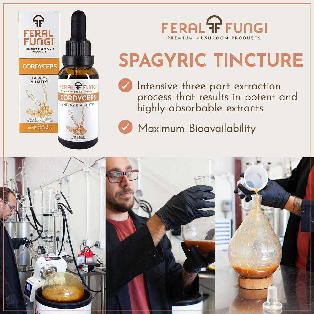 USA-grown mushrooms used for tincture