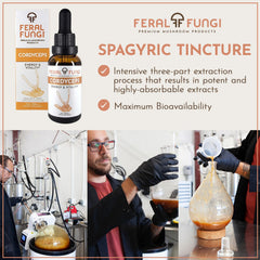 USA-grown mushrooms used for tincture