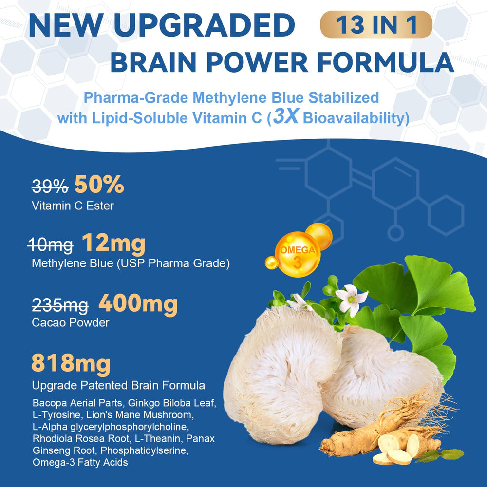 Ingredient collage featuring Bacopa, Ginkgo Biloba, Omega-3