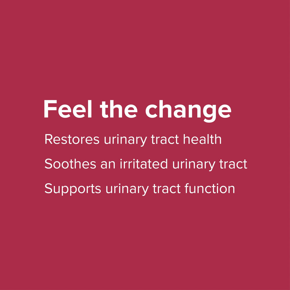 Illustration showing urinary tract support with U.T. Vibrance