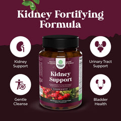 Uva ursi leaves for kidney health