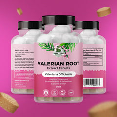 Valerian root extract ingredients illustration