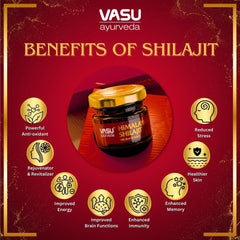 Graphic showing 85+ trace minerals in Shilajit