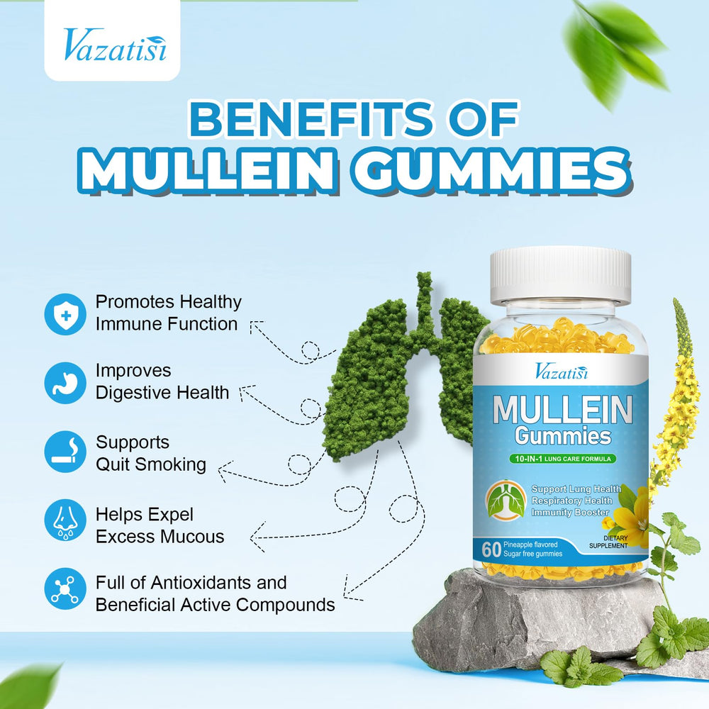 Illustration of key ingredients: Mullein Leaf, Quercetin, Bromelain, Pine Bark, Magnesium Glycinate