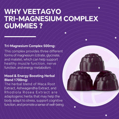Vitamin D3, B6, B12 and Folate symbols with magnesium