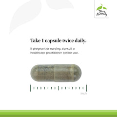 Vegan capsules bottle of Andrographis EP80 with Umckaloabo