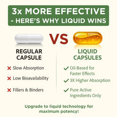 Vegan, clean cholesterol support formula