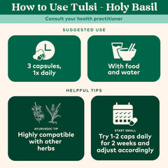 Vegan, gluten-free, kosher Organic Tulsi capsules packaging