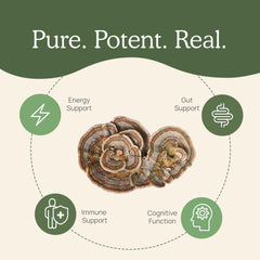 Vegan, gluten-free, non-GMO turkey tail powder product label