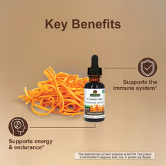 Vegan, kosher/parve, gluten-free Cordyceps supplement