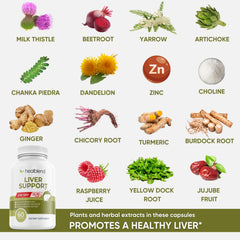 Diagram of zinc and herbal ingredients supporting digestive health