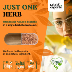 Graphic showing vegan non-GMO ingredients