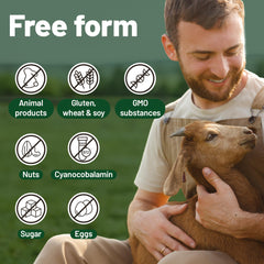 Plant-based omega-3 vegan supplement for comprehensive nutrition