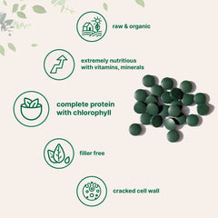 Graphic showing vegan protein, vitamins and nutrients from chlorella