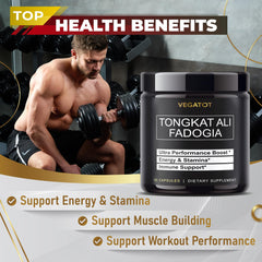 Illustration of brain and cellular health with antioxidant support