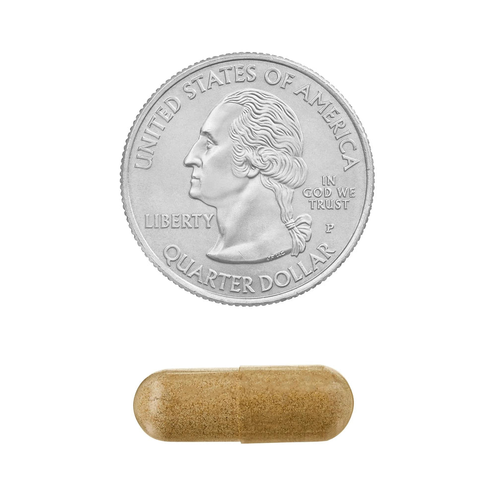Close-up of vegetarian capsules
