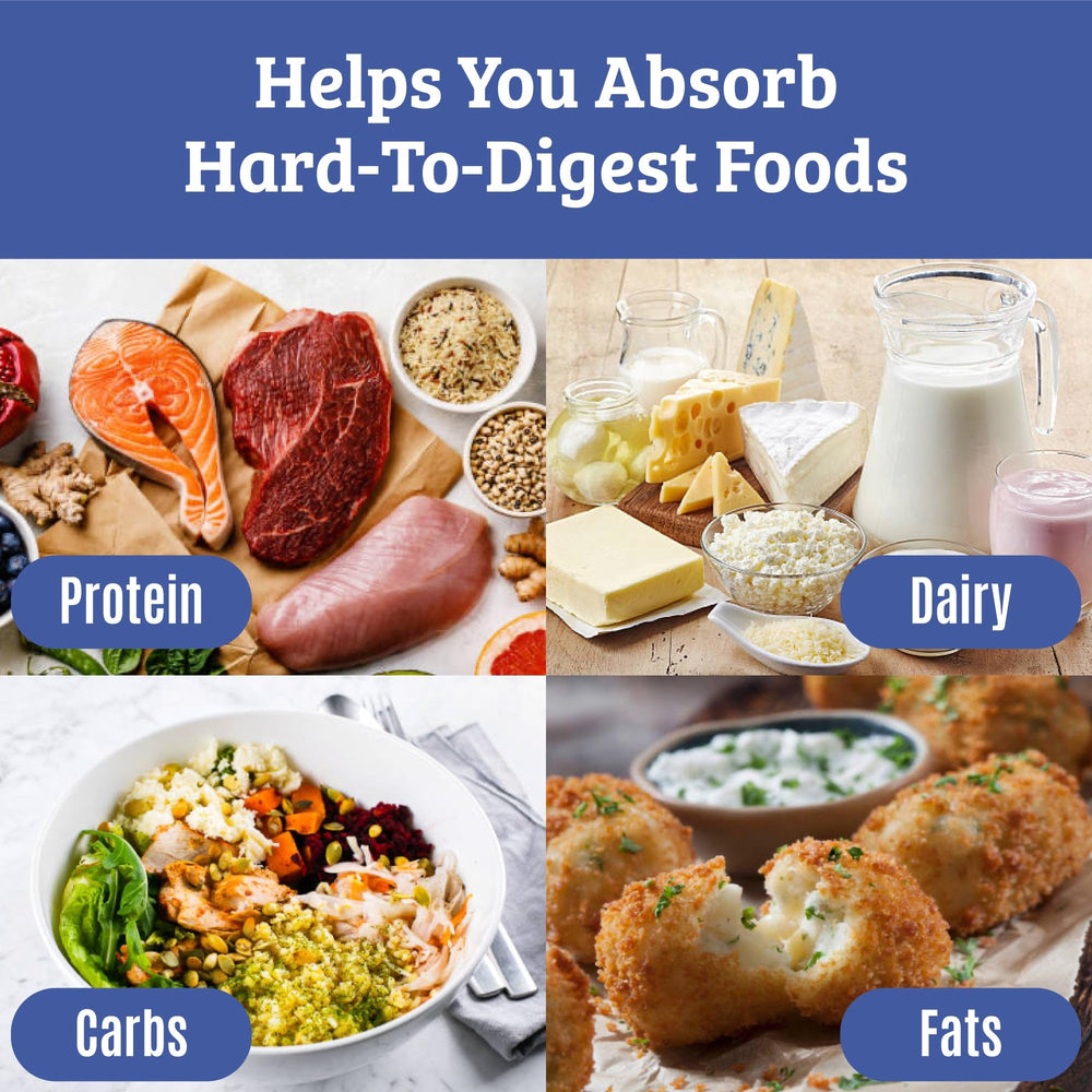 Plant-based, gluten-free, dairy-free digestive enzyme supplement