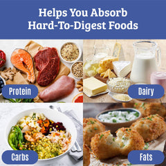 Plant-based, gluten-free, dairy-free digestive enzyme supplement