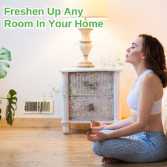 Illustration of Vent Scent zoning: whole home, room, or level coverage