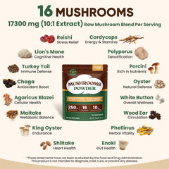 Assorted mushrooms included in the 16-in-1 blend
