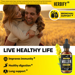 Verbascum densiflorum leaves and flowers used in tincture