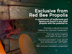 Key flavonoids Vestitol Neo-Vestitol Formononetin in Red Bee Propolis
