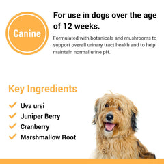 Box and bottle packaging for Vet Classics Urinary Tract Dog Supplement 120 Ct.