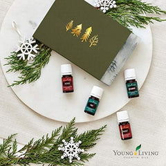 Vetiver essential oil relaxation routine promotes calm mood and mindful evenings.