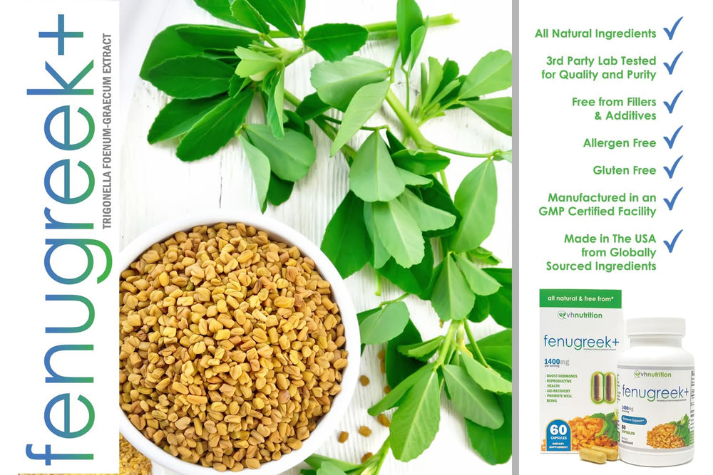Graphic showing 1400mg fenugreek per serving