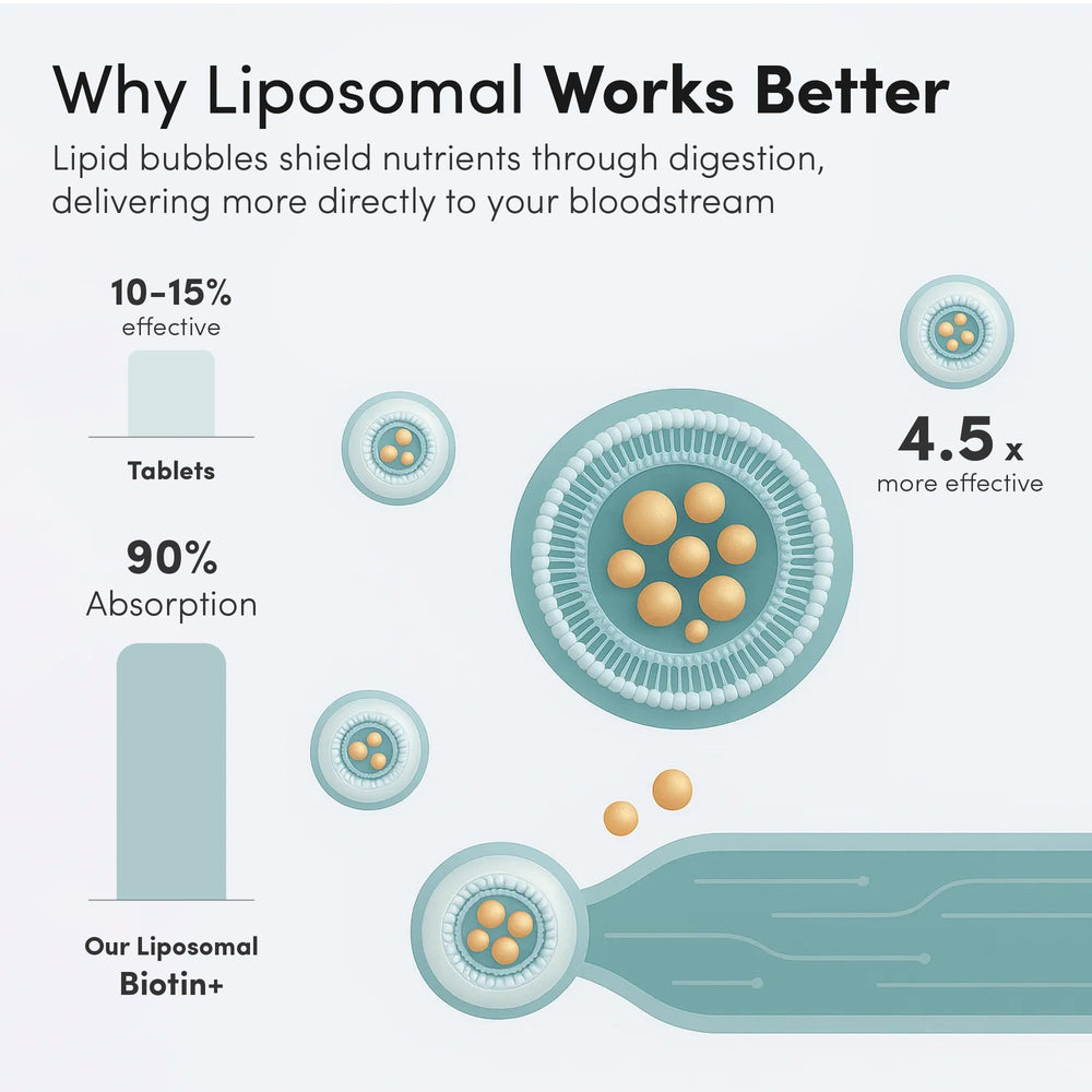 Liposomal delivery technology illustration for biotin