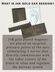 Magnetic non-invasive ear seeds in use